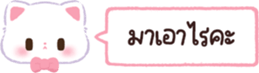 620574040