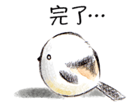 620609010