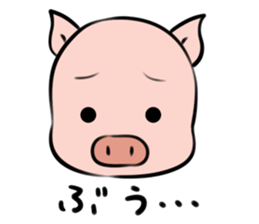 620654372