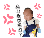 620674441