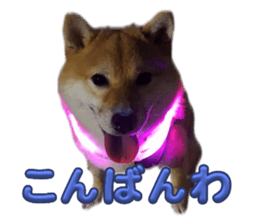 620714213