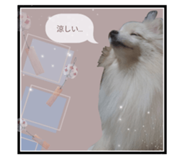 620723262