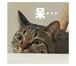 620737602