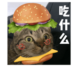 620737618