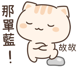 620759305