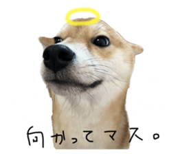 620766515