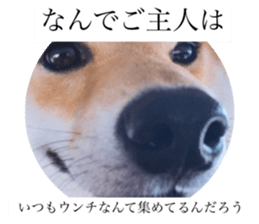 620778948