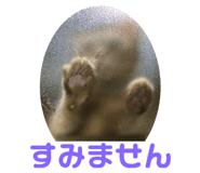 620782295