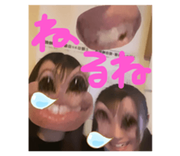 620788850