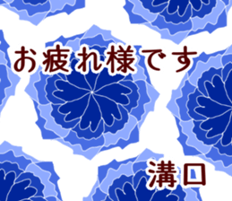 62081334