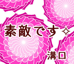 62081346