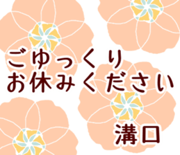 62081353