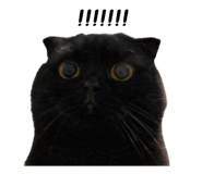 620827577
