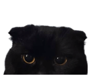 620827587