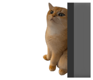 620827613