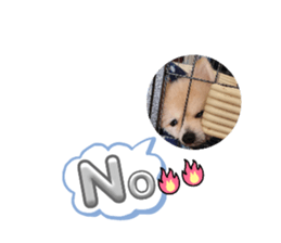620836593