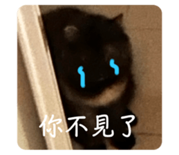 620856057