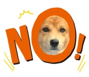 620872106