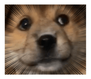620872117