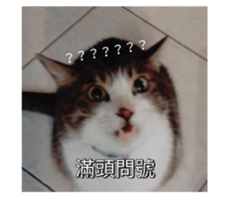 620927243