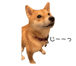 620939766