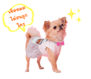620969360