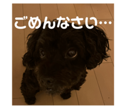 620980067