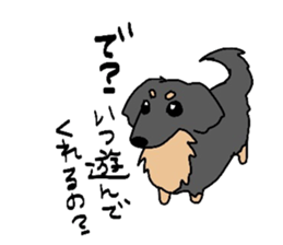 6209888