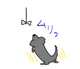 6209902