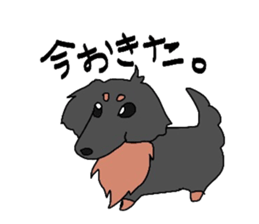 6209911
