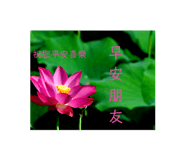 621067356