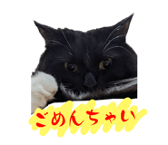 621125910