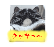 621125913