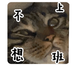 621127560