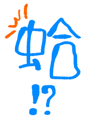 621129074