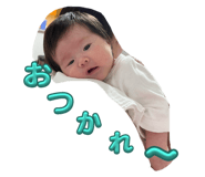 621137813