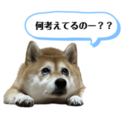 621171453