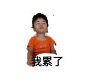 621185630