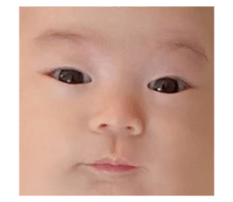 621188921