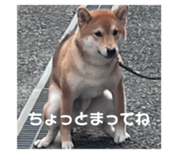621191573