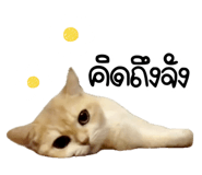 621194126