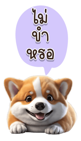 621206245