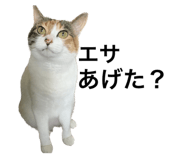 621228259