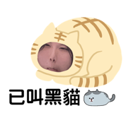 621264520