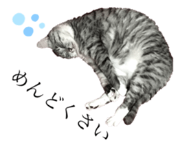 621265131