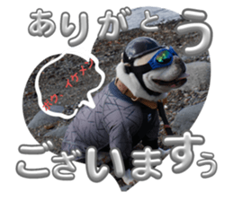 621270038