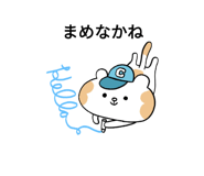 621279592