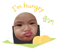 621336345