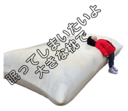 621355265