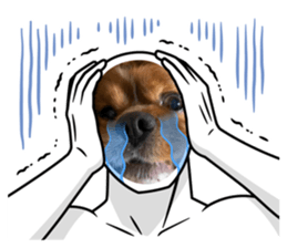 621355481
